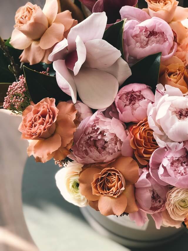 flores de otoño